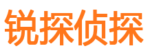 宝应调查公司